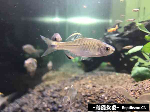 161837wy5opj4kpk5bp24m.jpg