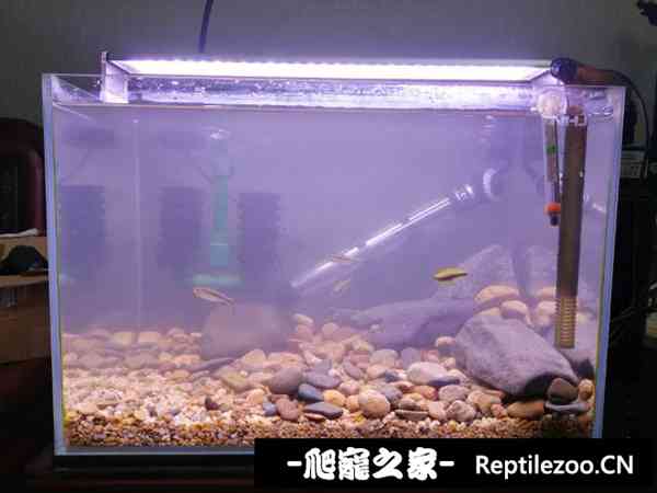 161907nbf30c3qnfn3z5zf.jpg