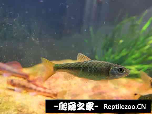 162028aaxfx9nz2xcajnbc.jpg