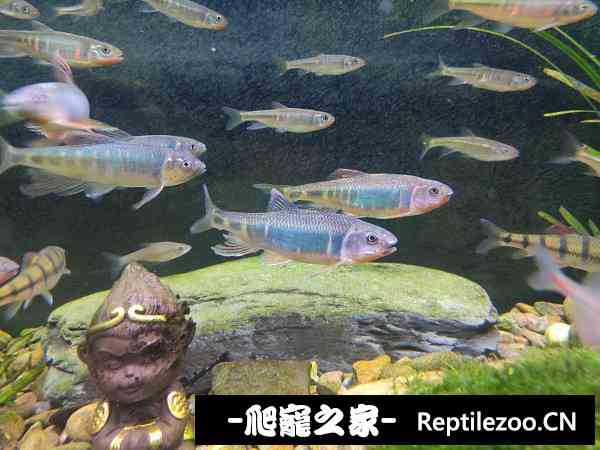 162215m3m55u35zu335jmo.jpg