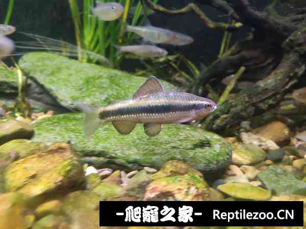 162216n6wtu8z22tatpq2p.jpg