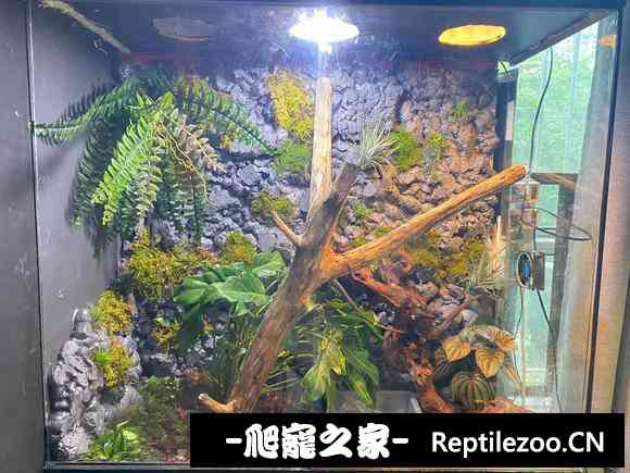 170056mcn1m10cl1hqo9m6.jpg