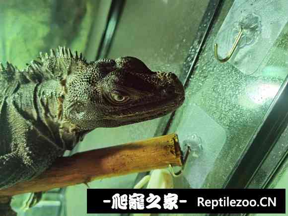 170219u3idwiiwv3z8ekqk.jpg