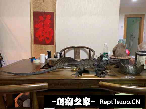 170542rohtmgofu8ufkiwo.jpg