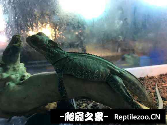 170727ez8cxxg93ppovx9g.jpg