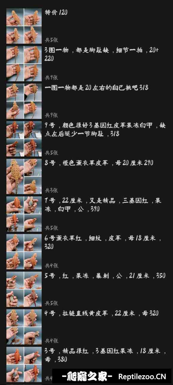 170729qtp3nn0szhr9wqdr.jpg