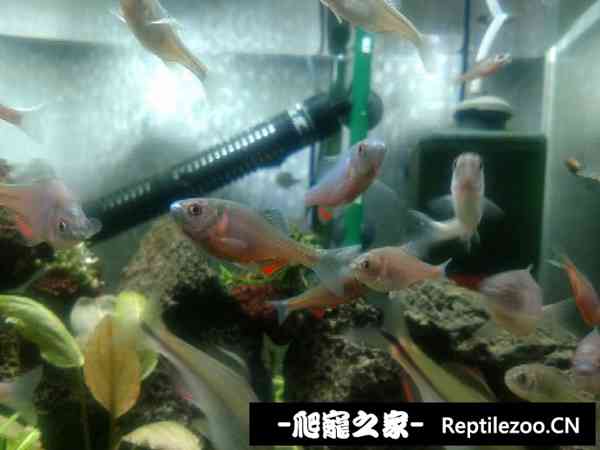 173522beh7nc0aq5wqh6he.jpg