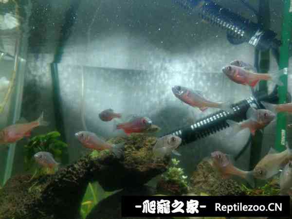173522xkmvts8v3fvmtrvq.jpg