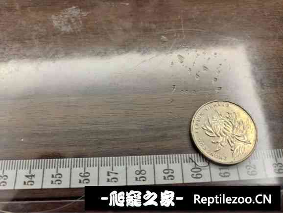 174354svo3qp1s1k1s21lz.jpg