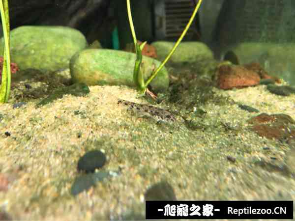 174356wfz6gf8302f3jdgq.jpg