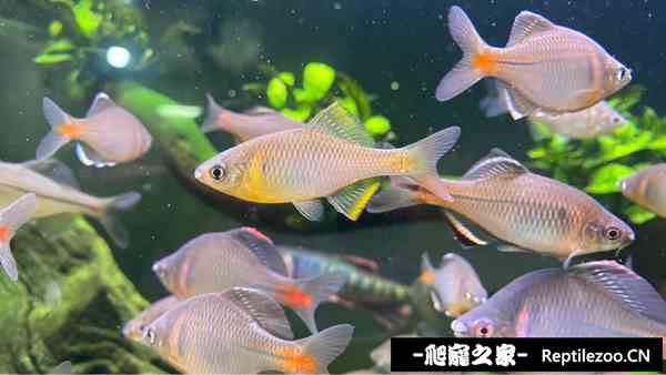 175854tb08oxiv9ohx288g.jpg