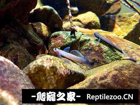180150hywpt7qh7h4awane.jpg