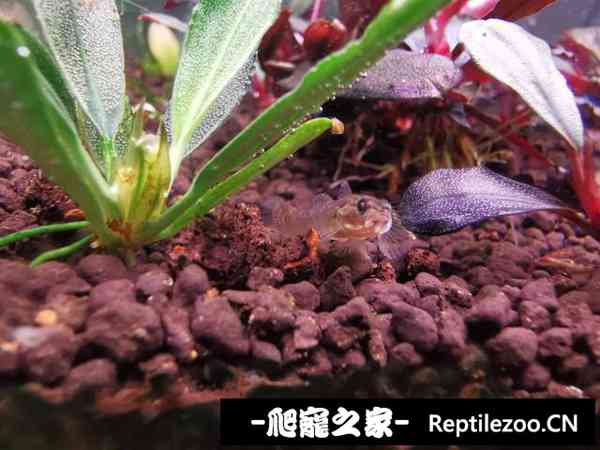 180400jn14h66wlo44ly2u.jpg