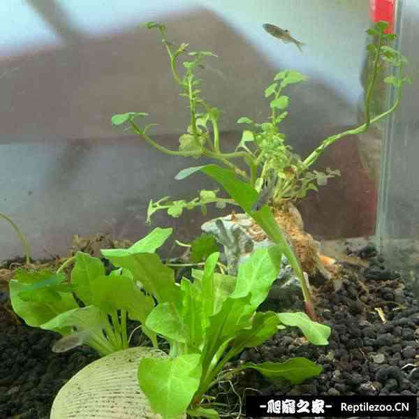 185624nsx0h016jgw2wqhg.jpg