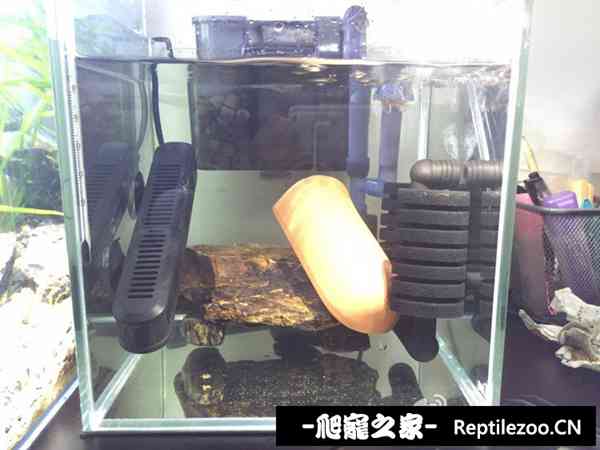 190437gszlxypxp44lops4.jpg