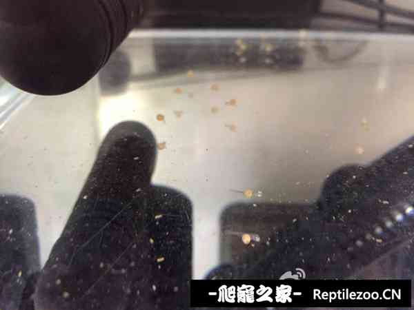 190439pleds7ptjg8d5eph.jpg