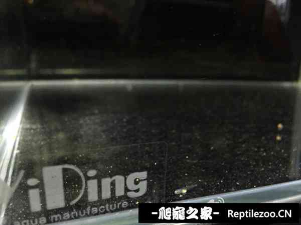 190441vz9riapnpinn3r92.jpg