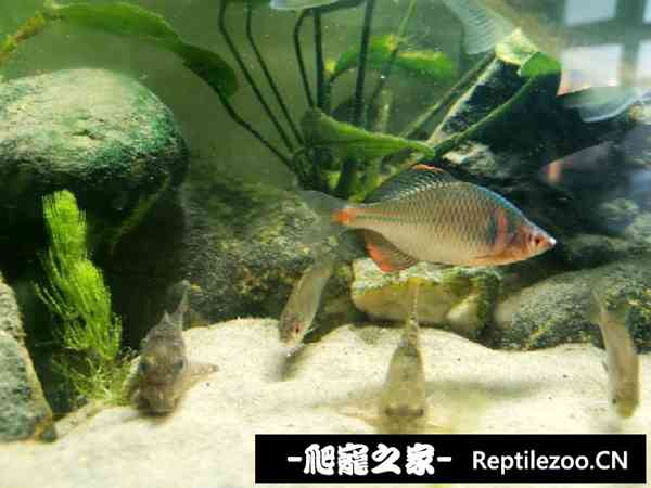 190646mqgai8lullxexnlv.jpg