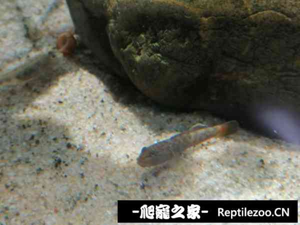 191044bp7pcz8mvjcz9k77.jpg