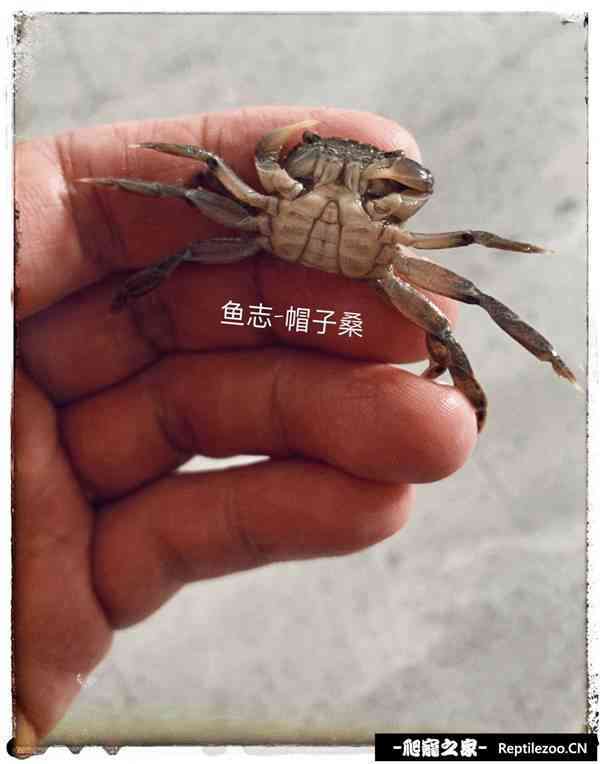 191123jnzqn2wl7wl0gm72.jpg