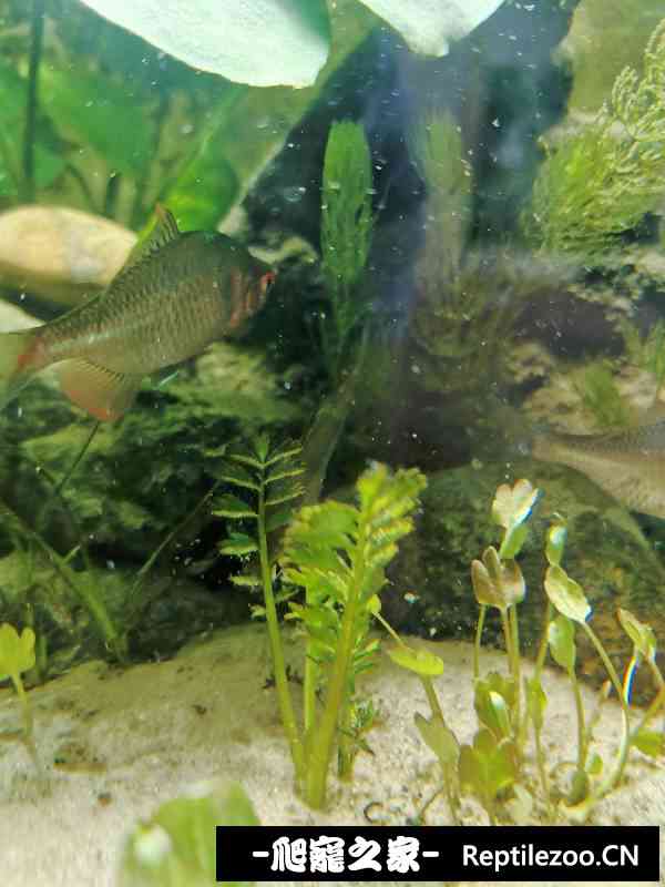 191135qt3actxfblibc323.jpg