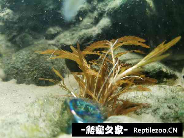 191142wjxxvto3fzjp82n8.jpg