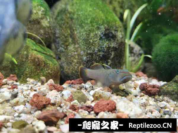 192029c5ie9mggcyekkky8.jpg