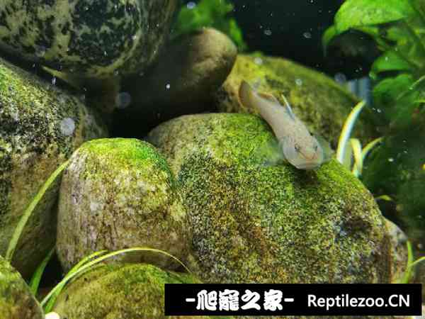 192031hj8n32s6l86lnnfd.jpg