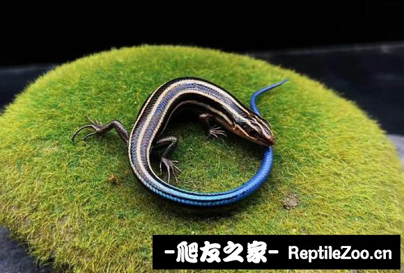 012552gpqz0rn6fnwsipb6.jpg