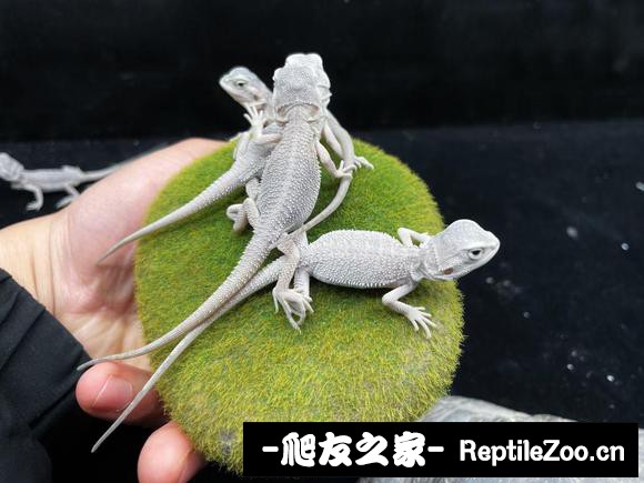 012558t67k73ge3oeek7g7.jpg