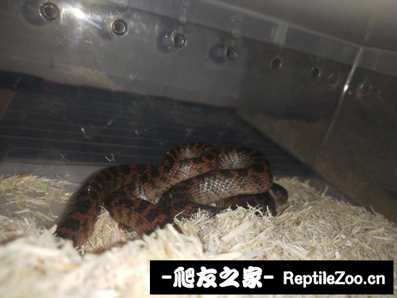 021012aue311oe8oub1dtx.jpg