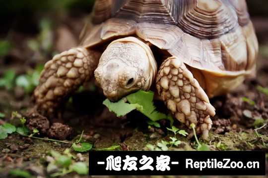 031502hwwtwjwwt6nlt58z.jpg