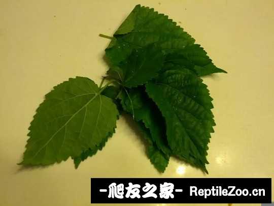 041002x5kx9uwxkykexkwu.jpg
