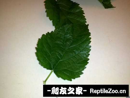041003zb539395z9bzb99f.jpg
