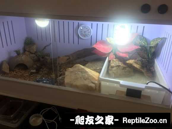 092149wpyppypdygplvndn.jpg