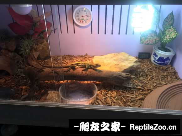 092150czr4t2a4rrr1pbar.jpg