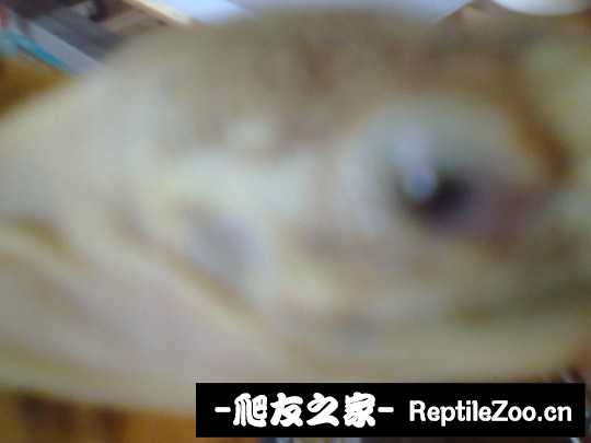 094624l6lhnnm9elflnhp2.jpg