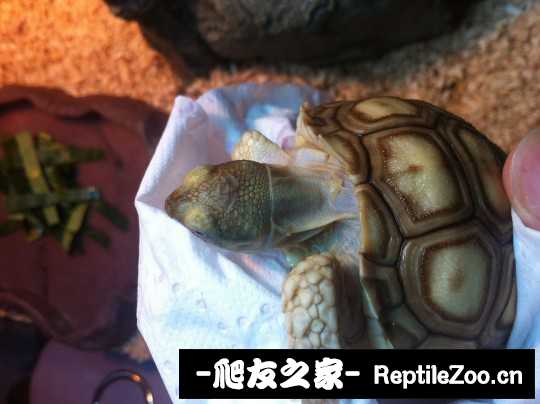 111351az3gpypwcwxecqwa.jpg