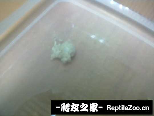 121026pfmcjczchhwufuvh.jpg