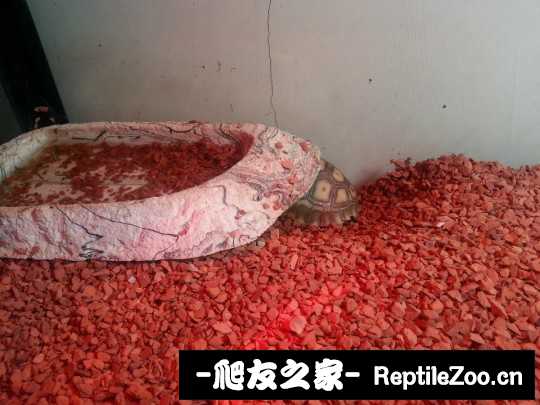 130645m8qqqcsf6lfl6jql.jpg