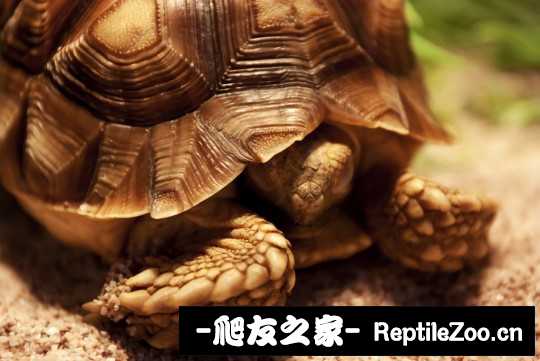144142hdjz56rhjh6d5rty.jpg