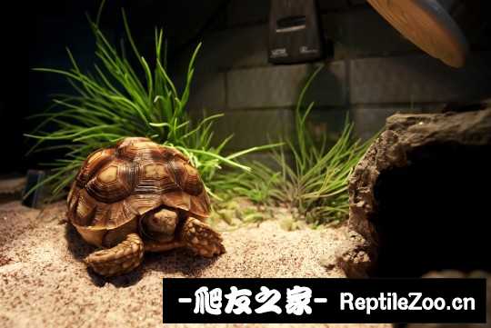 144143knh3ui743bh32b77.jpg
