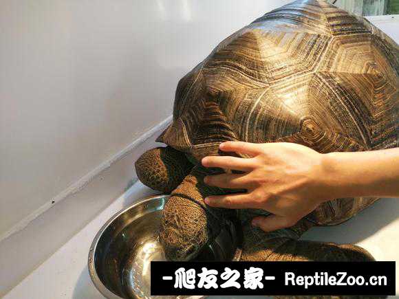 145601lbqq3dkl11xvxbld.jpg