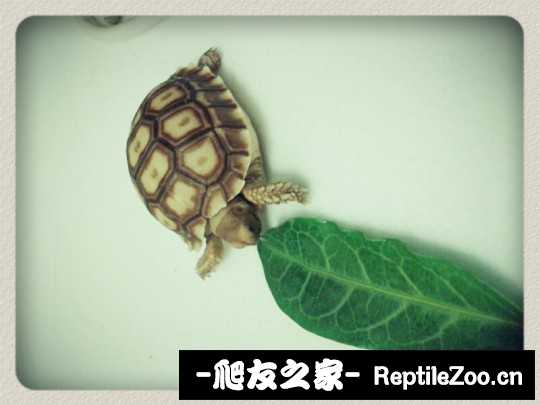 145819r5lz999eu39xnxit.jpg