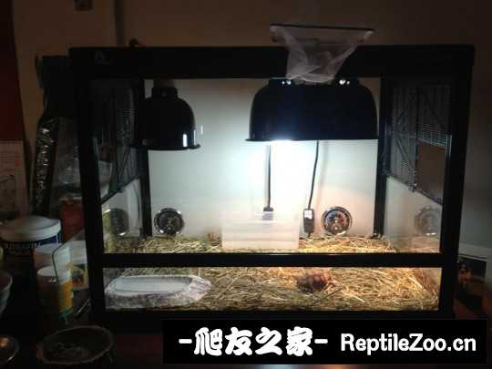 145851xgkrgrxlbgg4yrcp.jpg