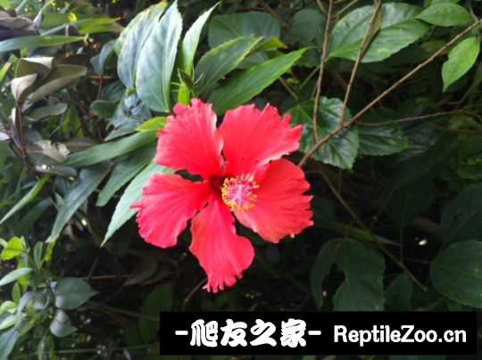 150052vzd7ma5bnz5nuarb.jpg