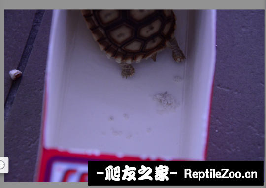 150103chciiimlz0zgnn7z.png