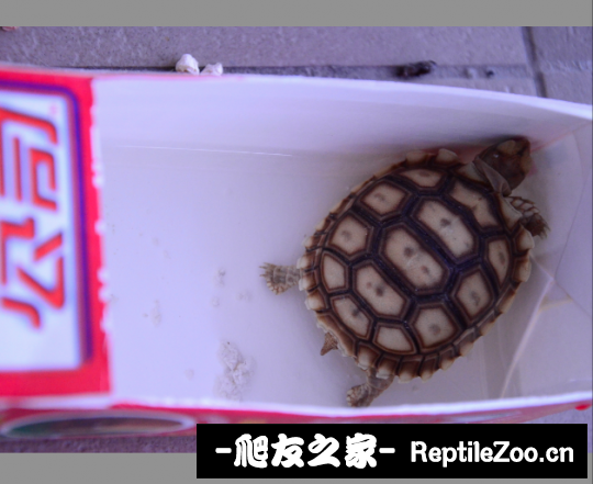150106y252ddkunneuyu5i.png