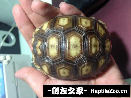150116f3cnilzc9pi73ngg.jpg