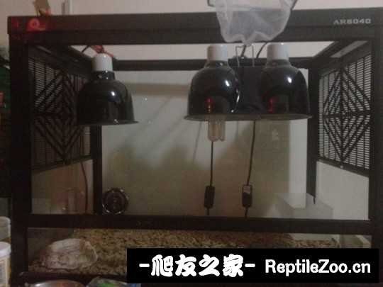 150203fyyh6xbap6xiizvi.jpg